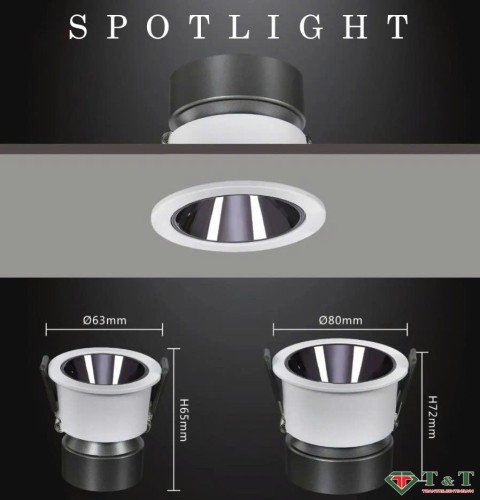Đèn LED âm trần chỉnh hướng 3W mẫu DCH