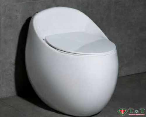 Bồn Cầu Trứng 1 Khối T09