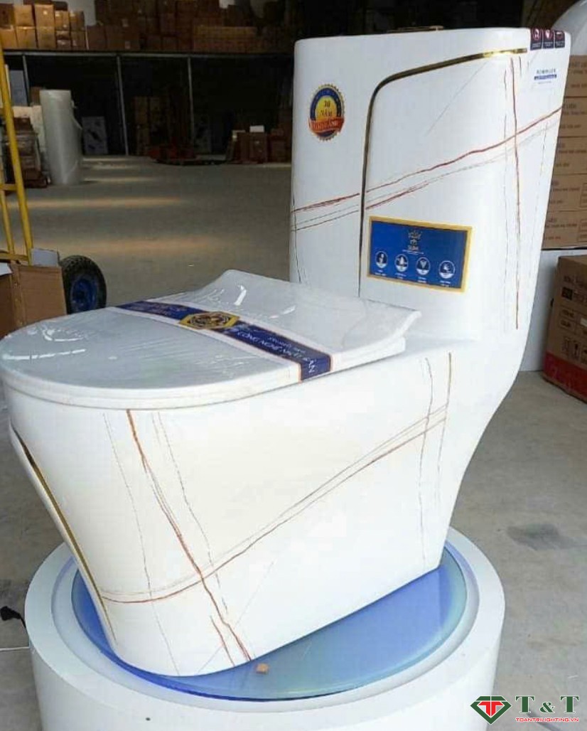 Bồn Cầu TRẮNG VÂN ĐÁ 9004