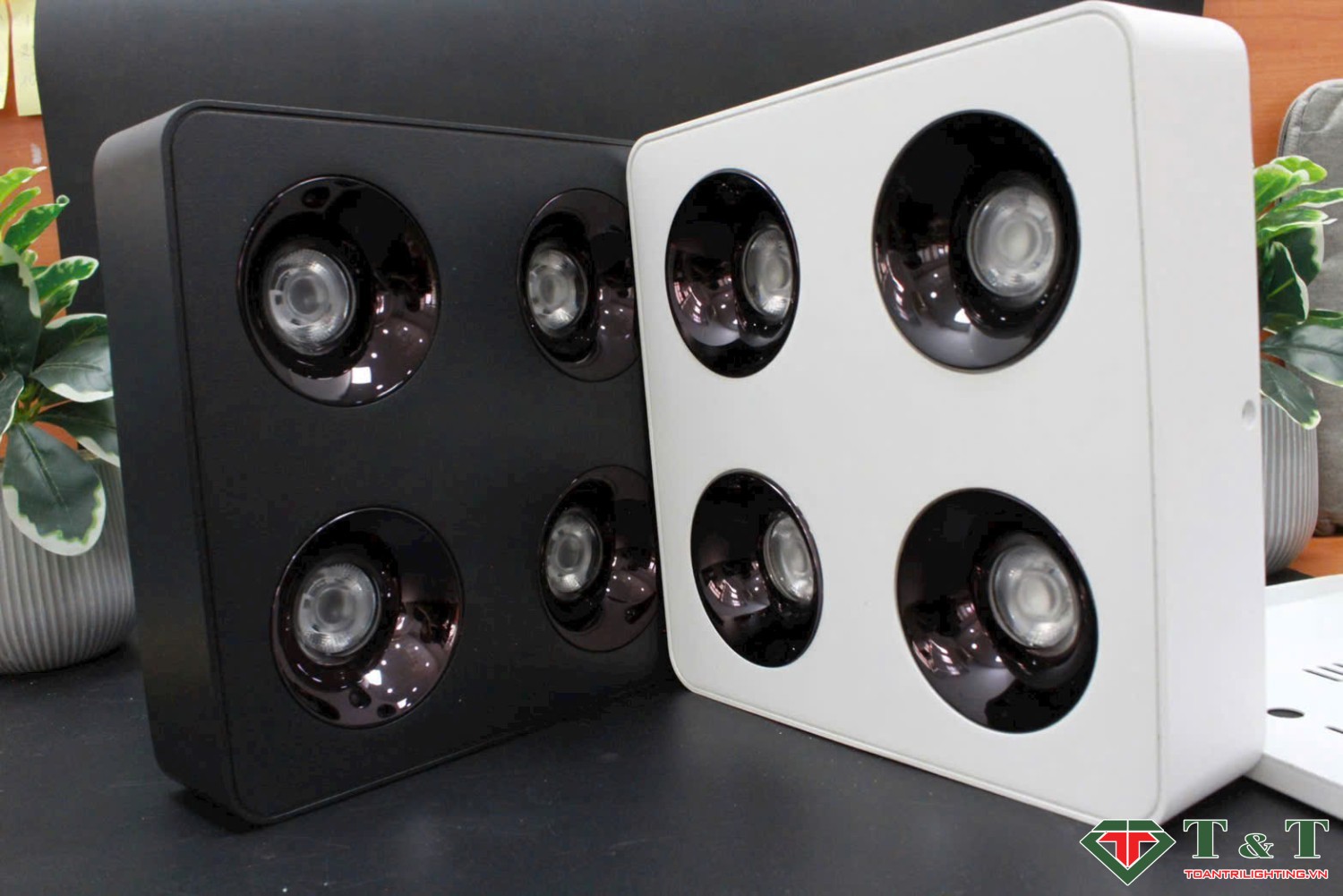 Đèn Lon Loa NEW 2026