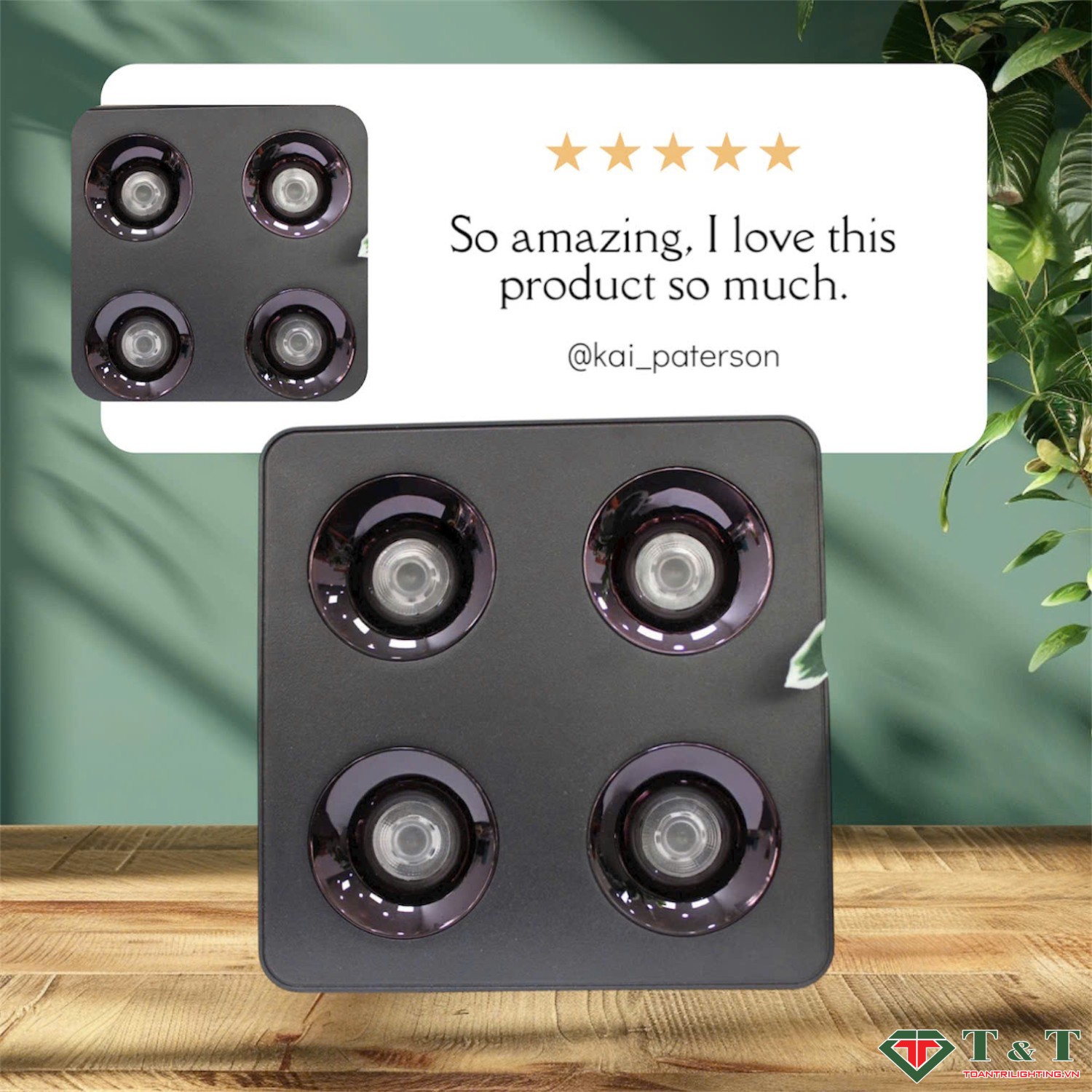 Đèn Lon Loa NEW 2026