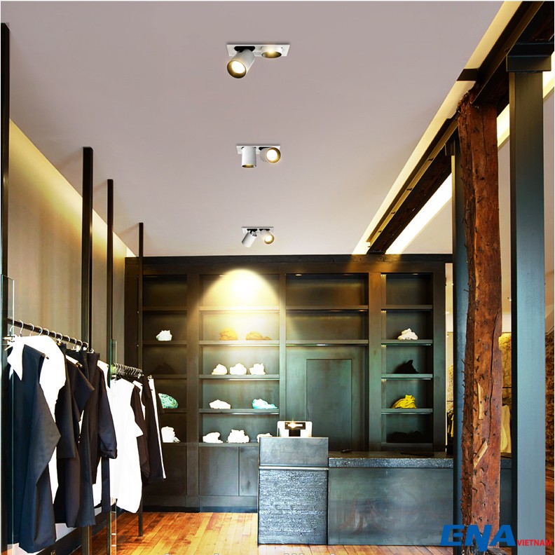 Đèn LED âm trần chỉnh hướng Dimmer đôi 2x10W mẫu DCG