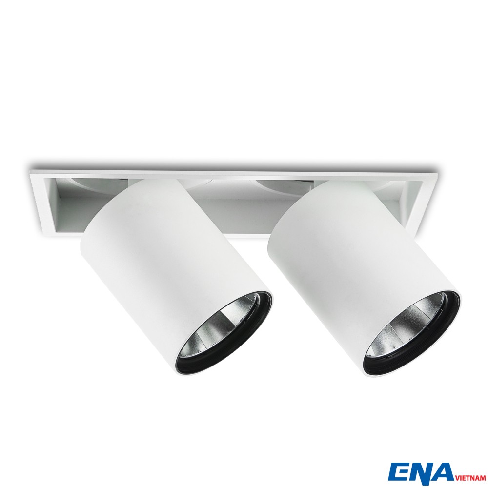 Đèn LED âm trần chỉnh hướng Dimmer đôi 2x10W mẫu DCG