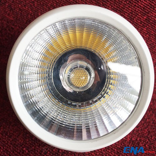 Đèn LED rọi ngồi 12W 5000K mẫu DRA