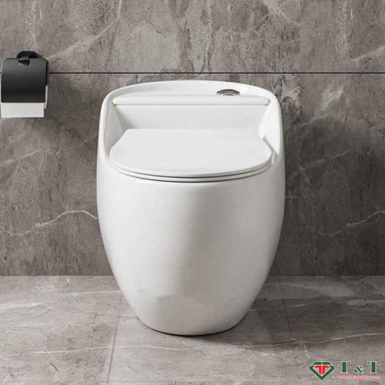 Bồn Cầu Trứng 1 Khối T09